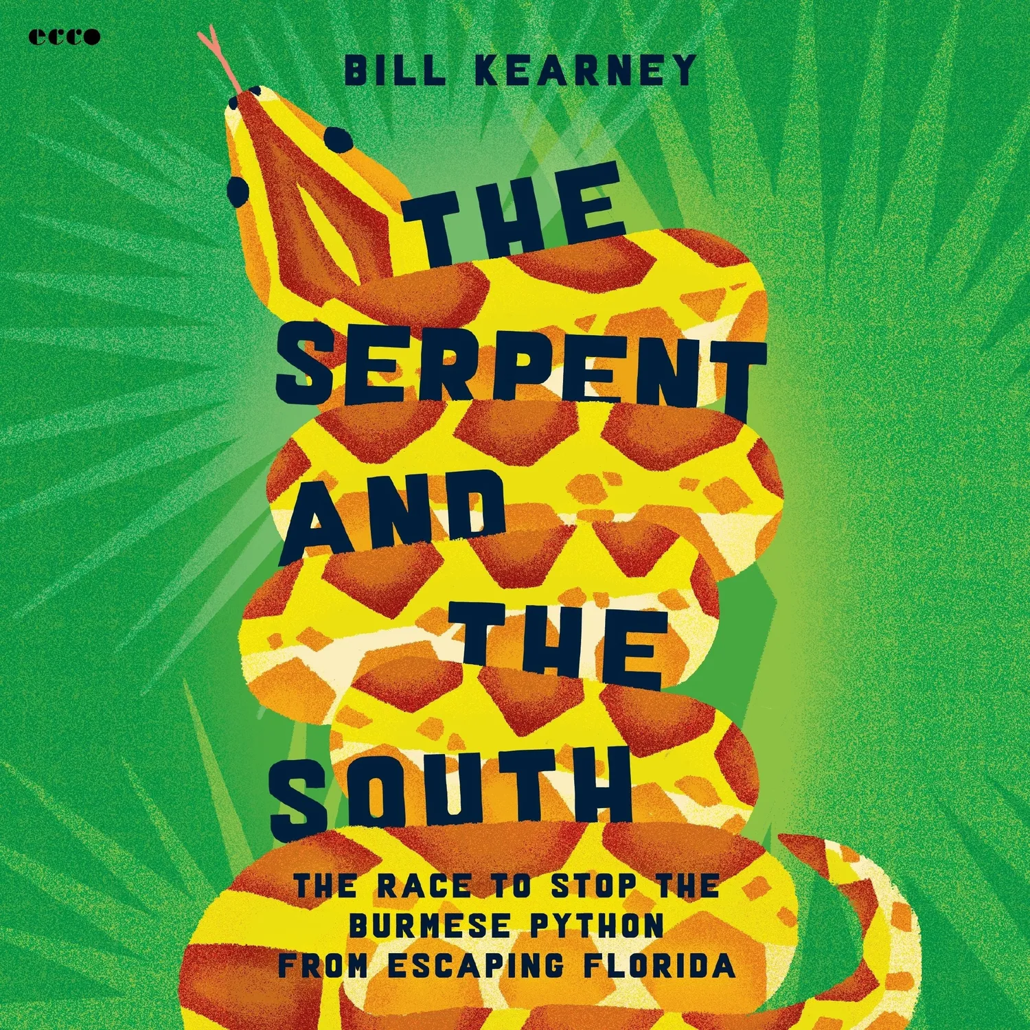 Wingbearer Saga The Serpent and the South innbundet bok