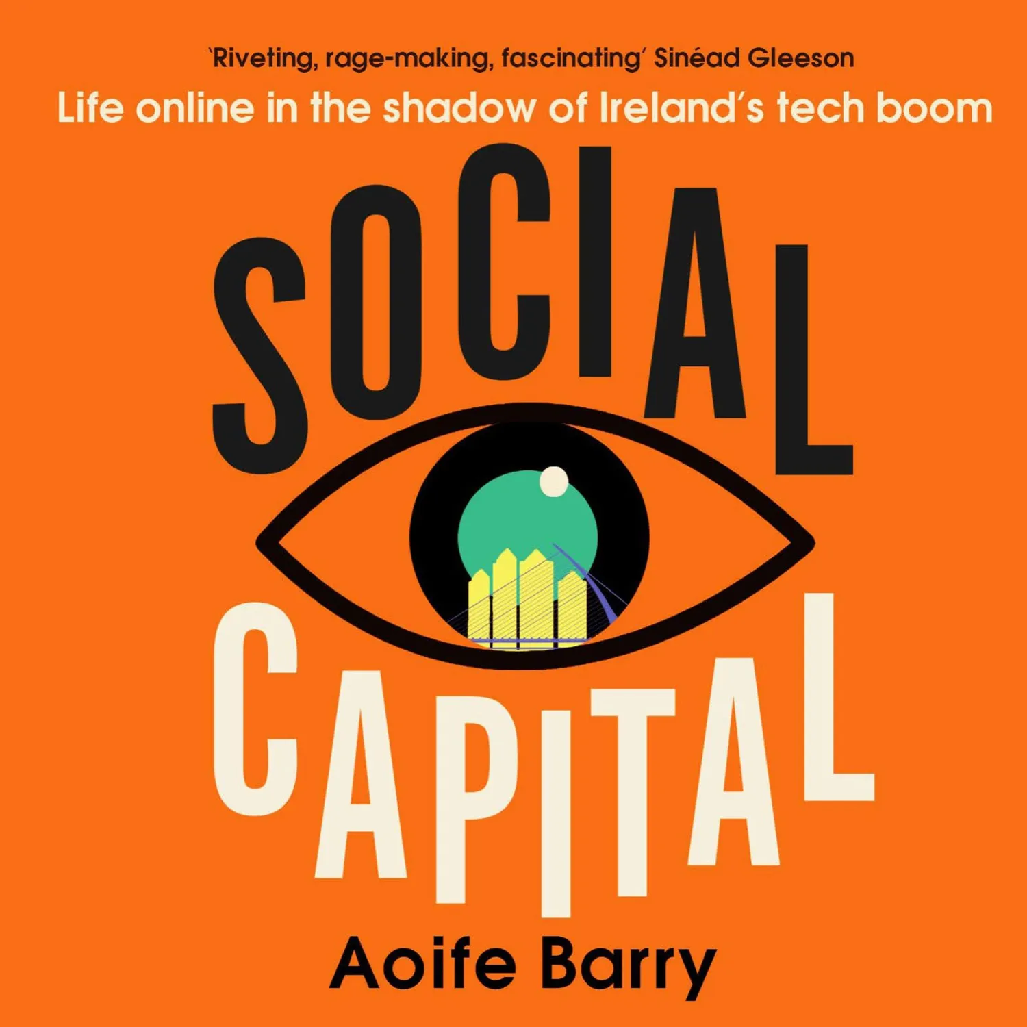 Wingbearer Saga Social Capital bok paperback Irland