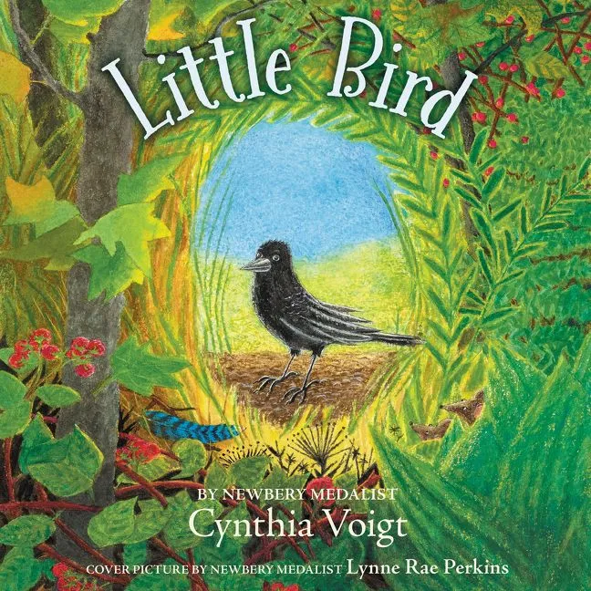 Wingbearer Saga Little Bird pocketbok barnebok 8-12 år