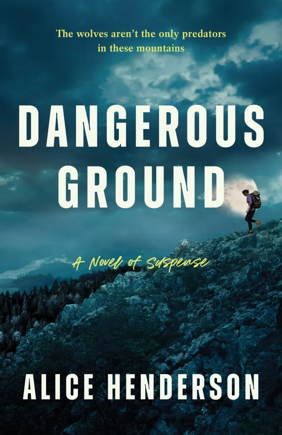 Wingbearer Saga Dangerous Ground bok innbundet thriller