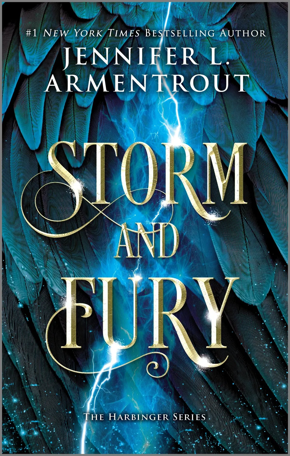 Wingbearer Saga Storm and Fury pocketbok paperback fantasyromantikk