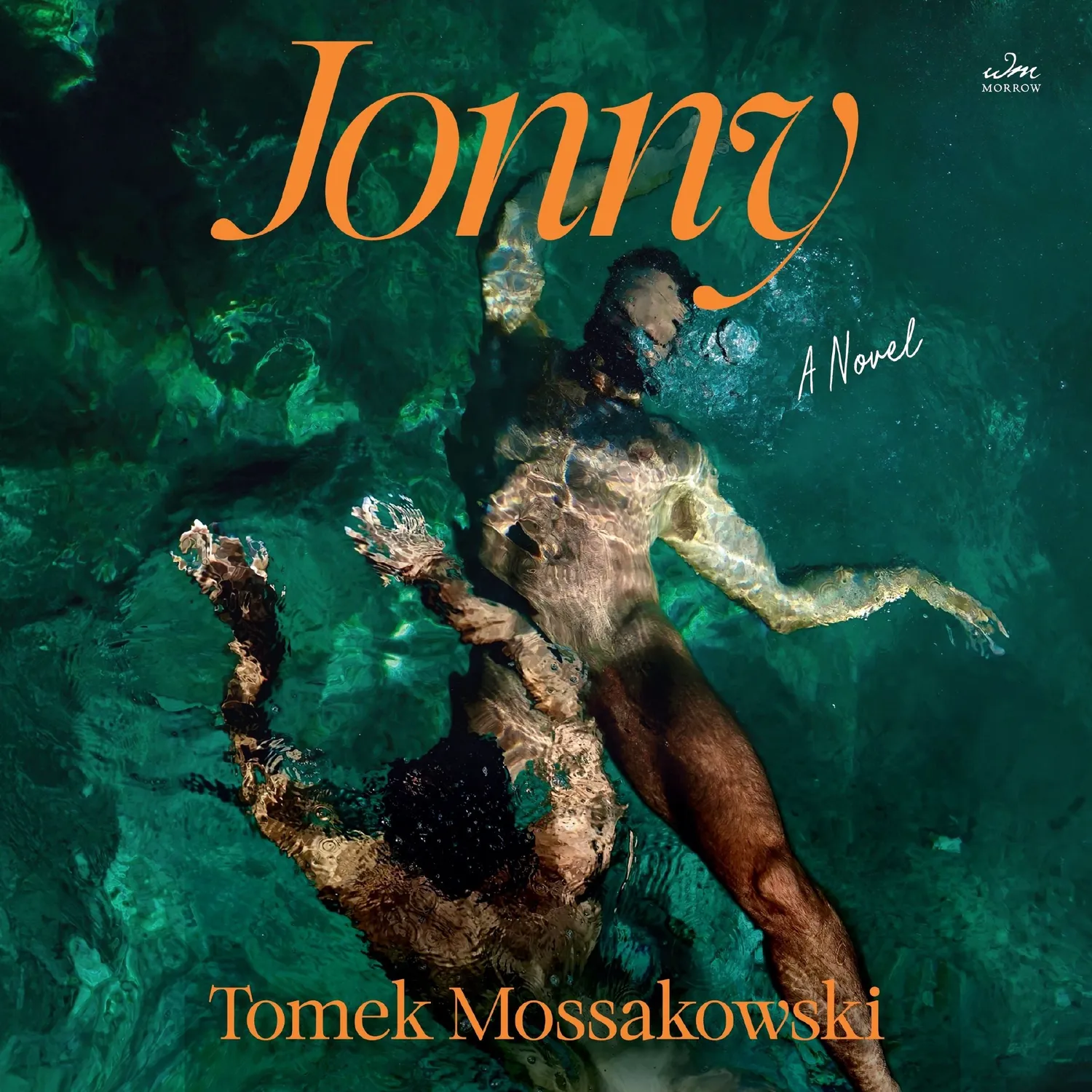 Wingbearer Saga Jonny bok innbundet skeiv roman