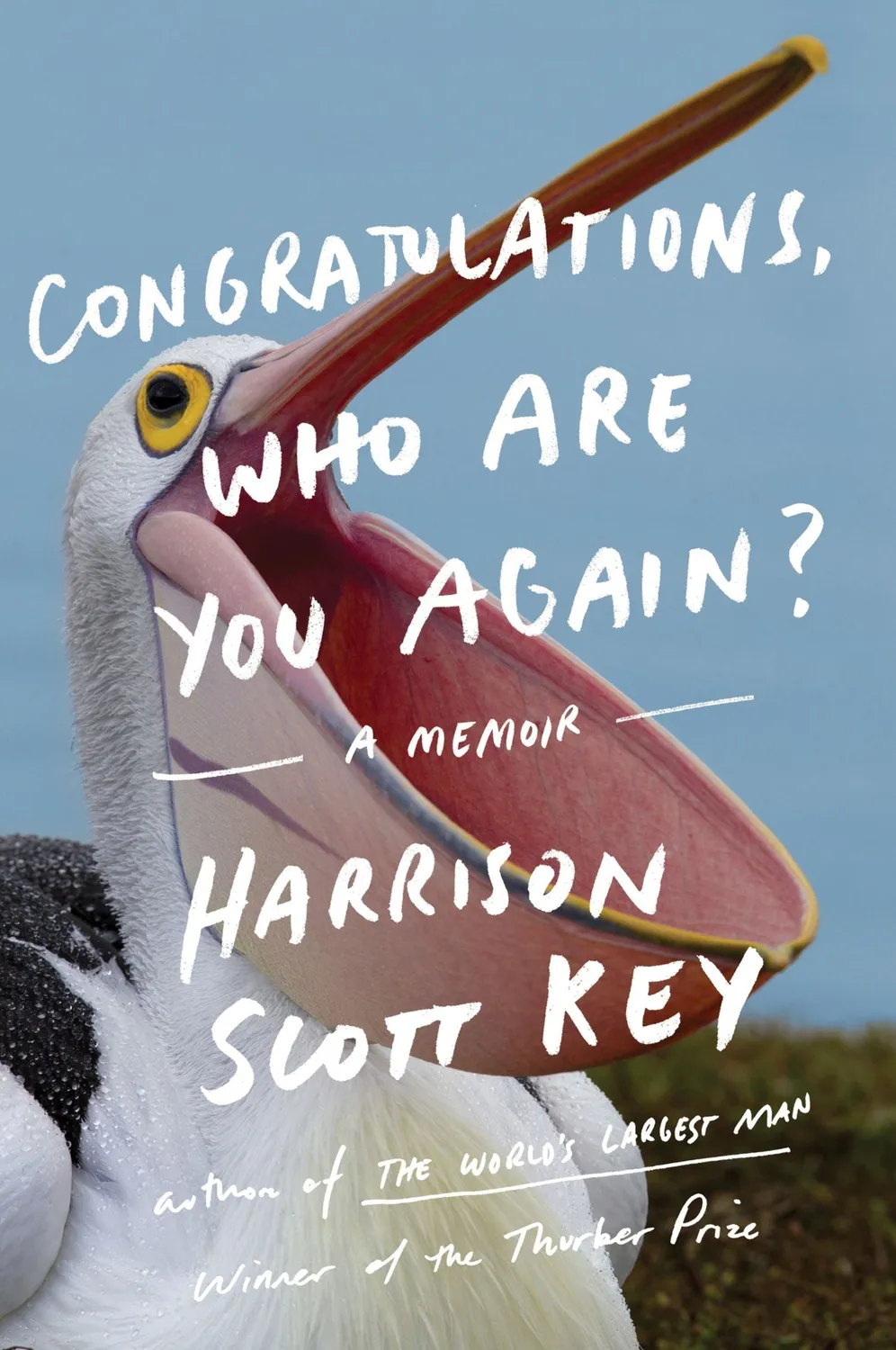 Wingbearer Saga Congratulations Who Are You Again hefte humor-memoir