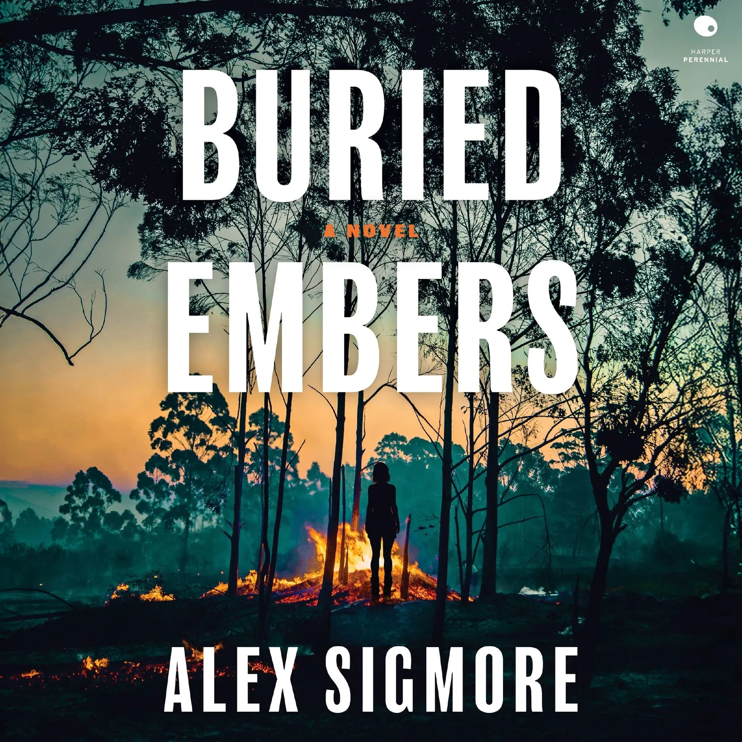 Wingbearer Saga Buried Embers paperback thriller