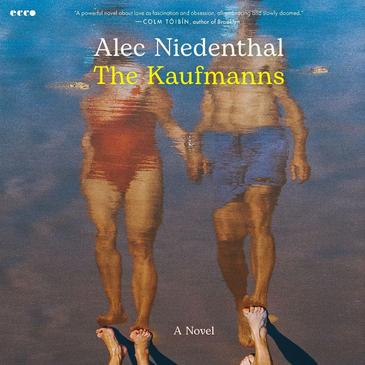 Wingbearer Saga Kaufmanns roman innbundet