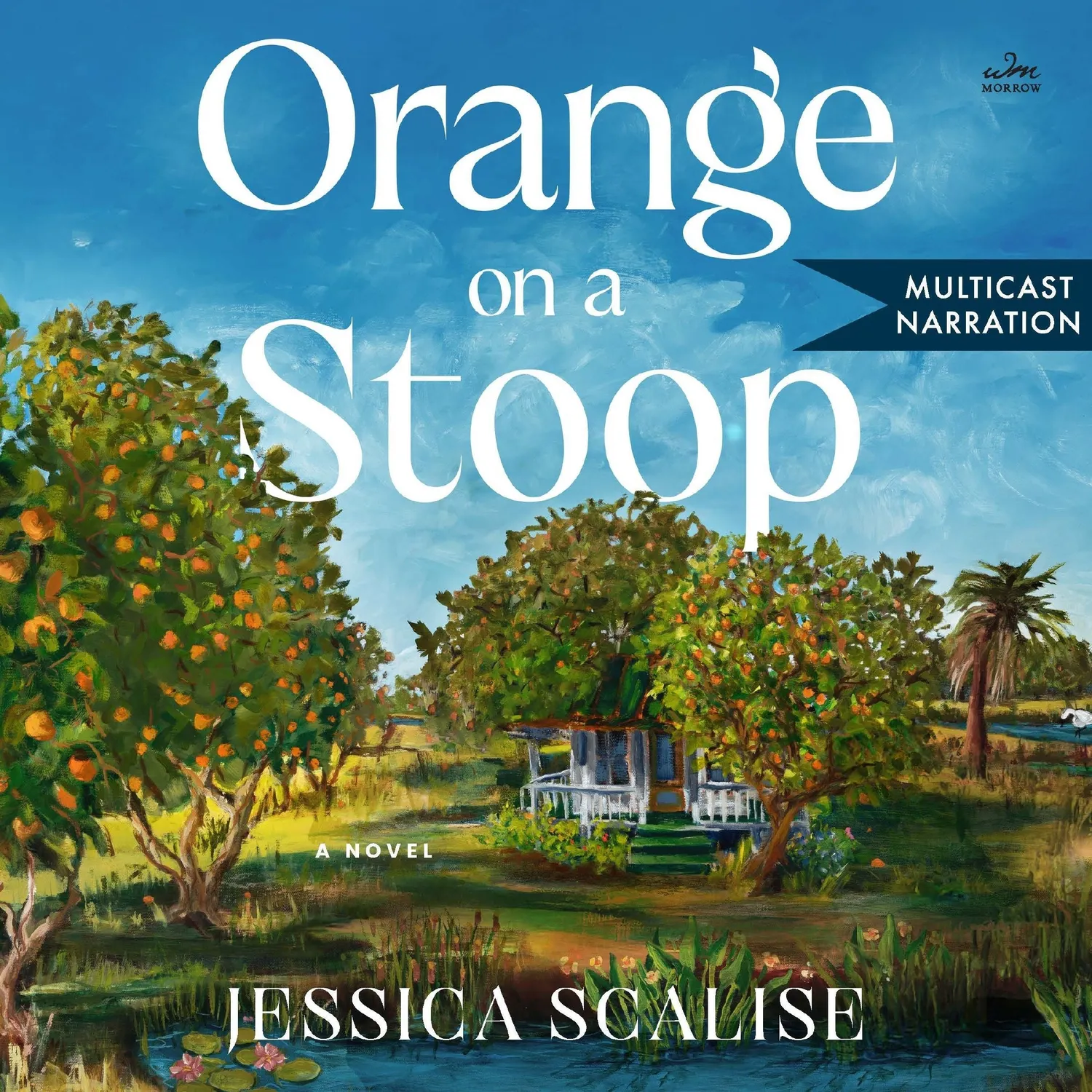 Wingbearer Saga Orange on a Stoop innbundet bok debutroman