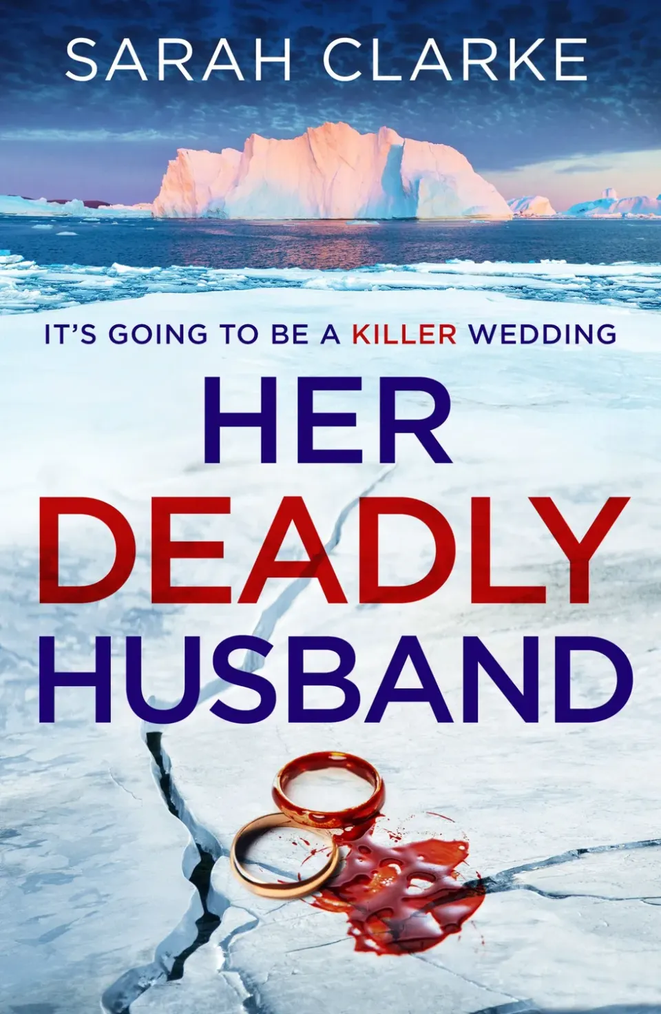 Wingbearer Saga Her Deadly Husband ebok psykologisk thriller