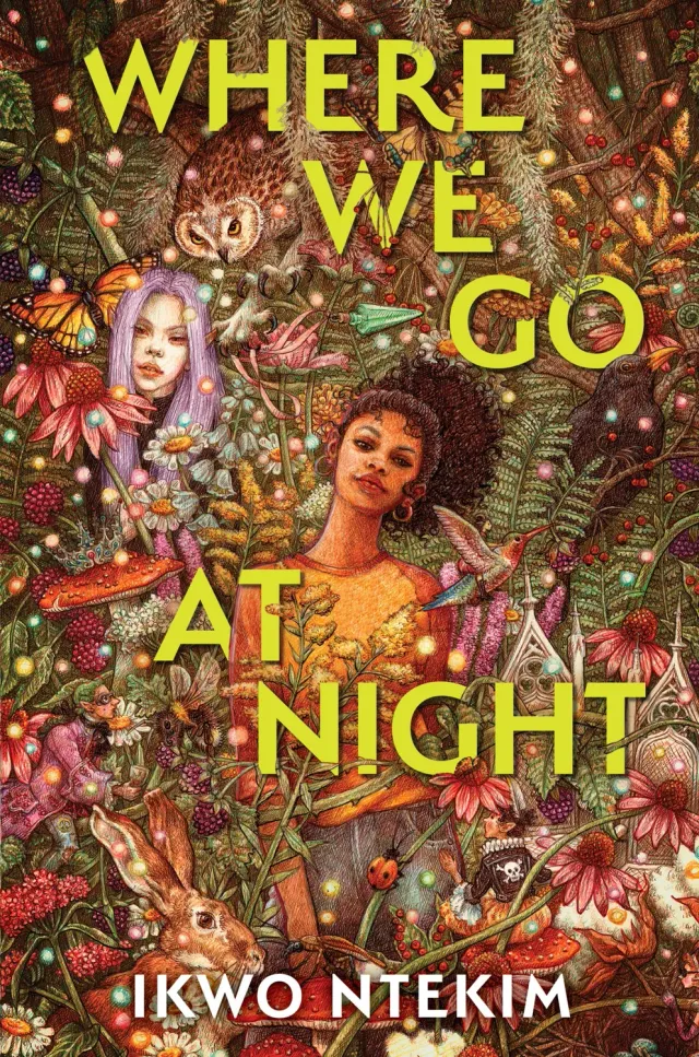 Wingbearer Saga Where We Go at Night ungdomsbok innbundet fae