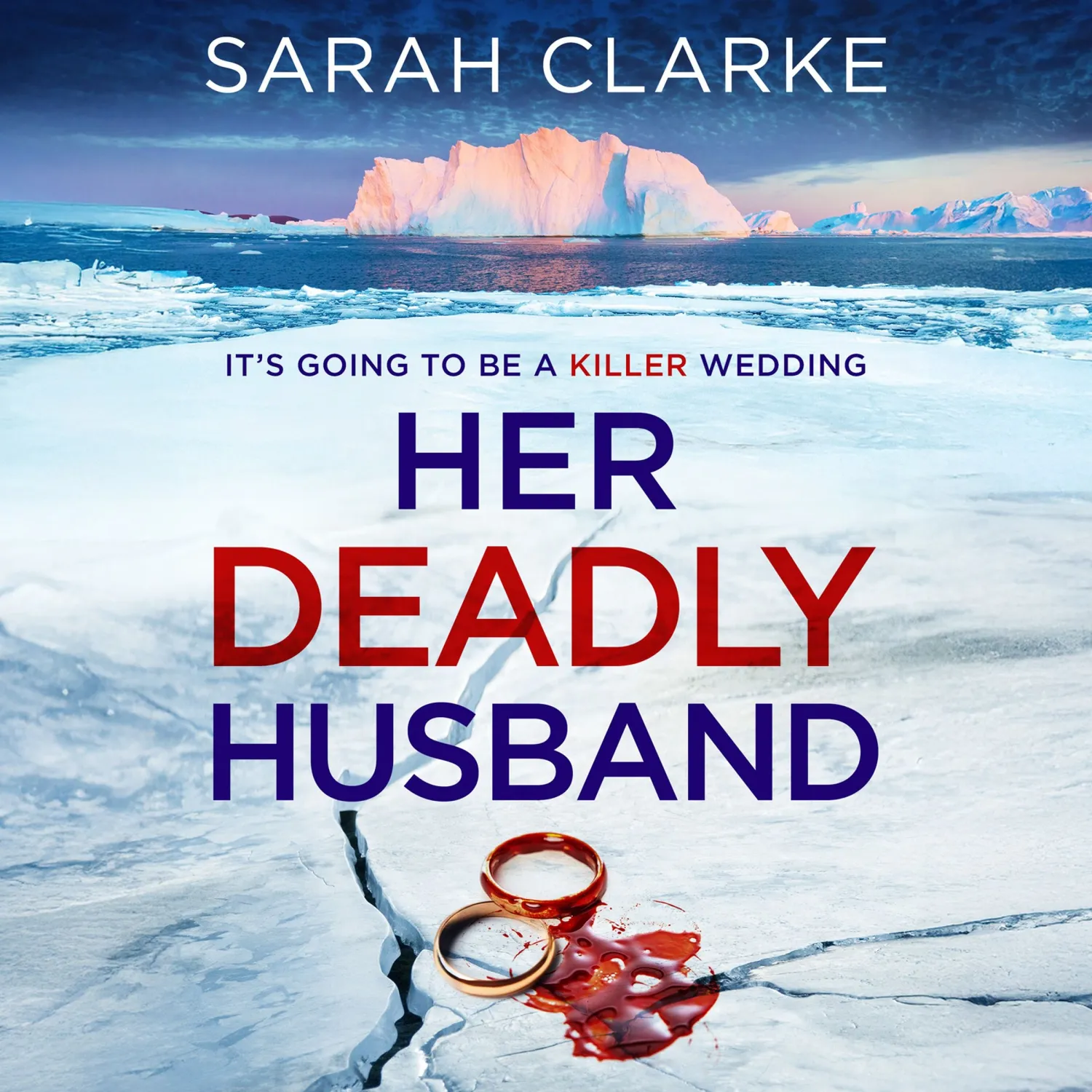 Wingbearer Saga Her Deadly Husband ebok psykologisk thriller