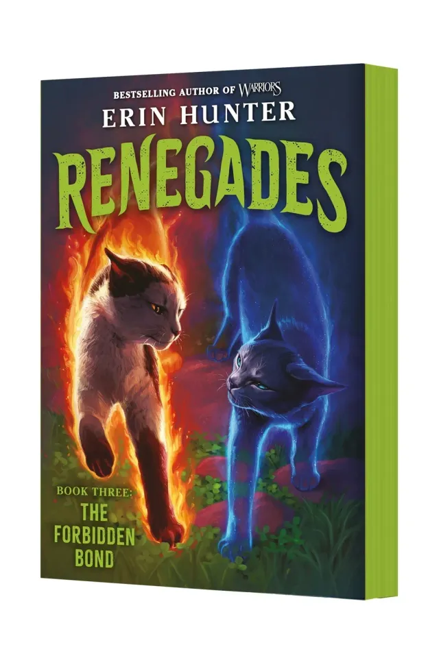Wingbearer Saga Renegades 3 The Forbidden Bond lydbok