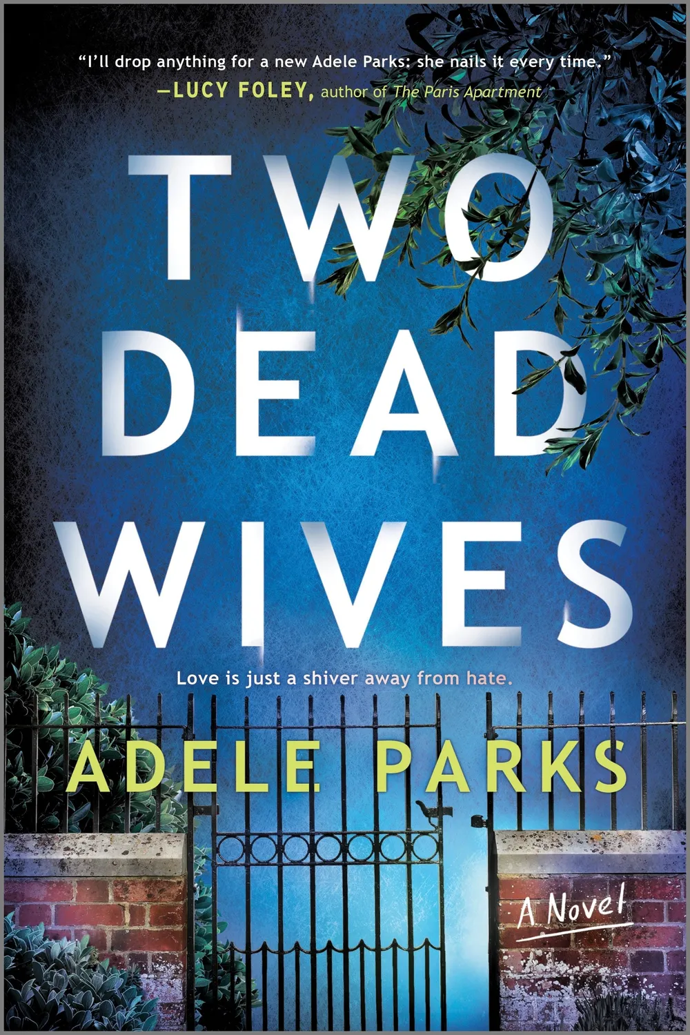 Wingbearer Saga Two Dead Wives bok paperback thriller