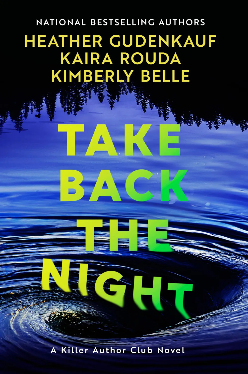 Wingbearer Saga Take Back Night bok stor skrift