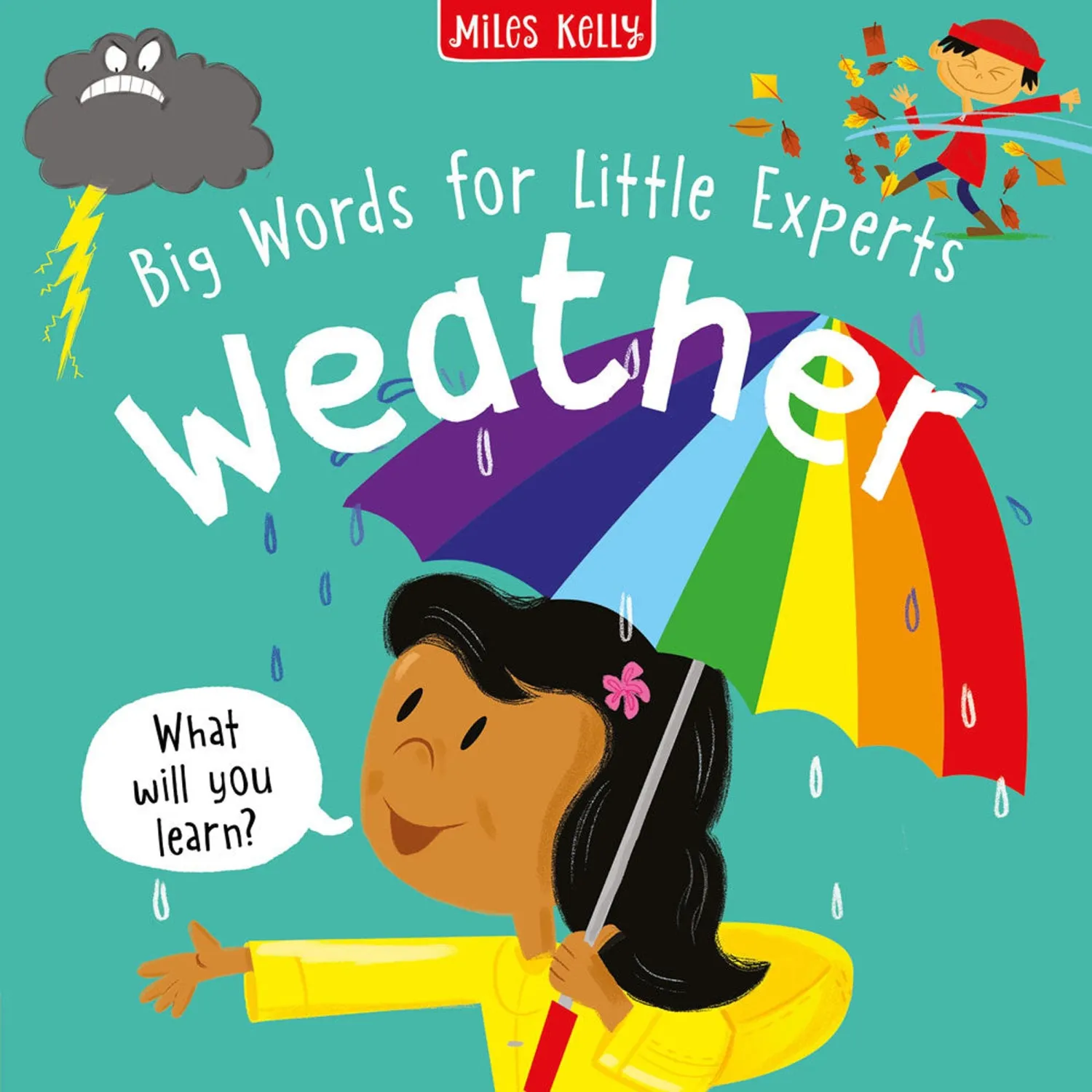 Wingbearer Saga Weather Big Words for Little Experts barnebok 2+
