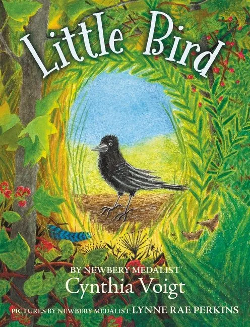 Wingbearer Saga Little Bird pocketbok barnebok 8-12 år