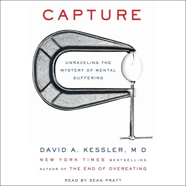 Wingbearer Saga Capture Kessler bok paperback healing