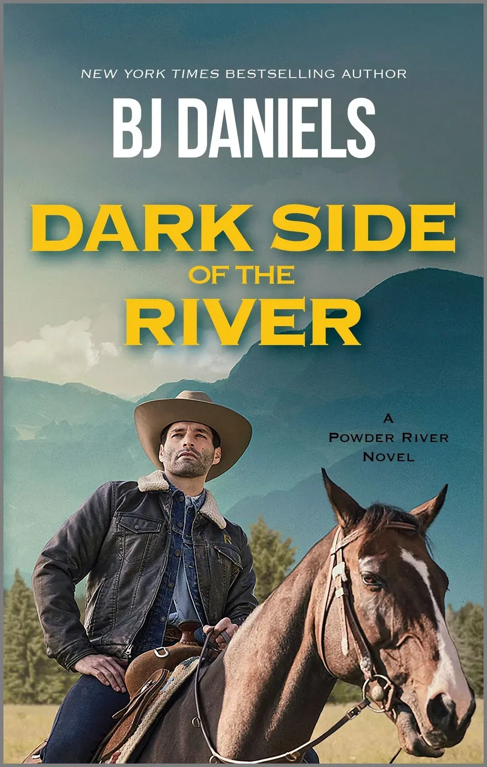 Wingbearer Saga Dark Side of the River roman paperback