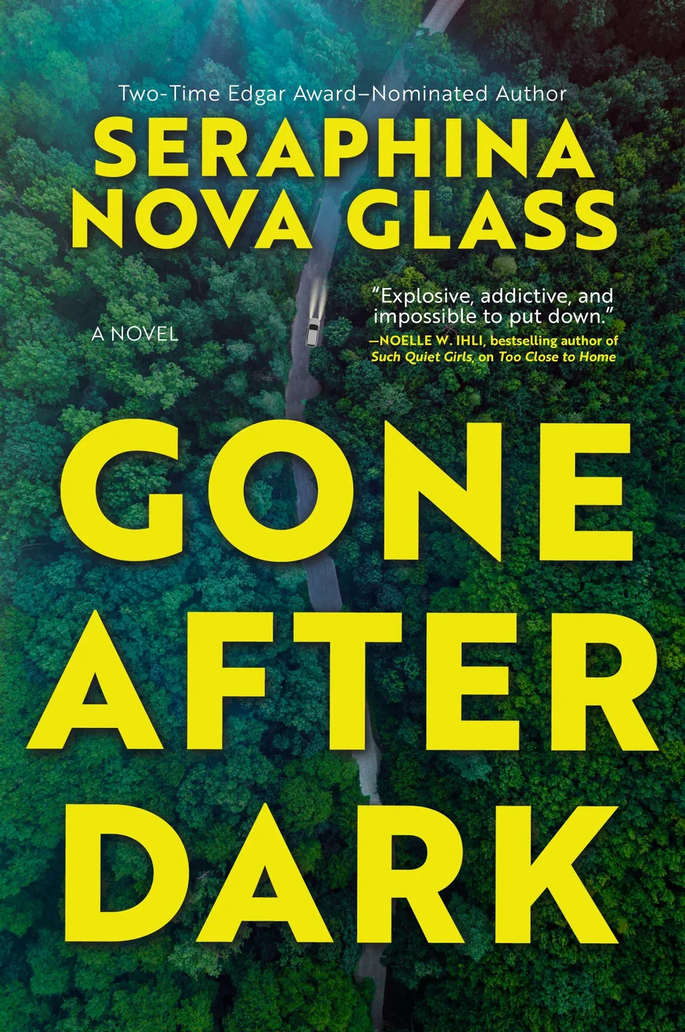 Wingbearer Saga Gone After Dark innbundet thriller