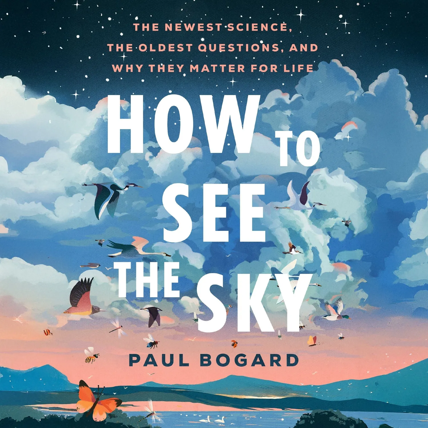 Wingbearer Saga How to See the Sky bok innbundet vitenskap