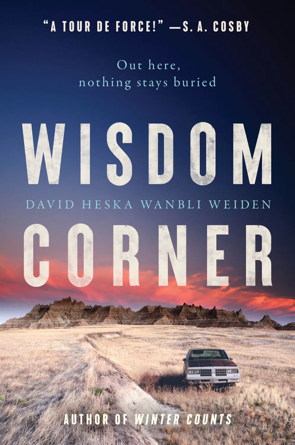 Wingbearer Saga Wisdom Corner Virgil Wounded Horse krim thriller