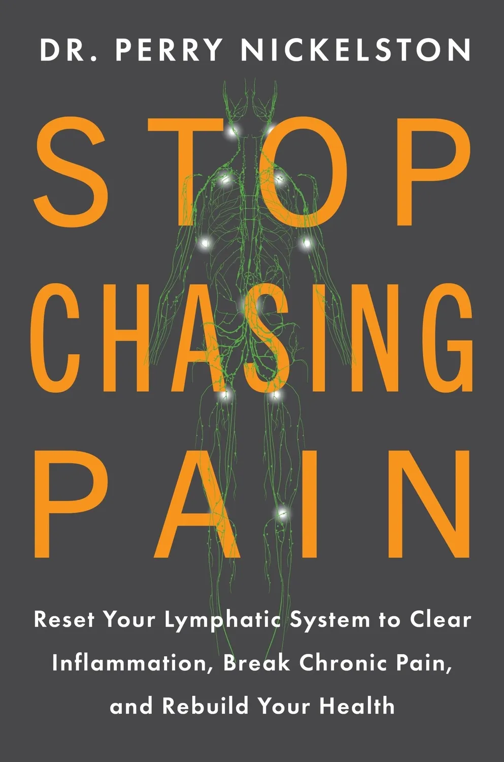 Wingbearer Saga Stop Chasing Pain lydbok digital helse