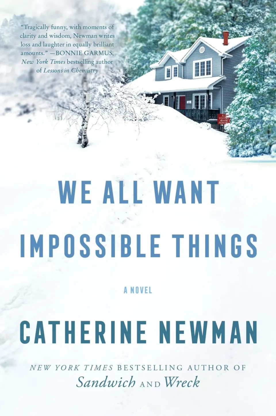 Wingbearer Saga We All Want Impossible Things pocketbok vennskap