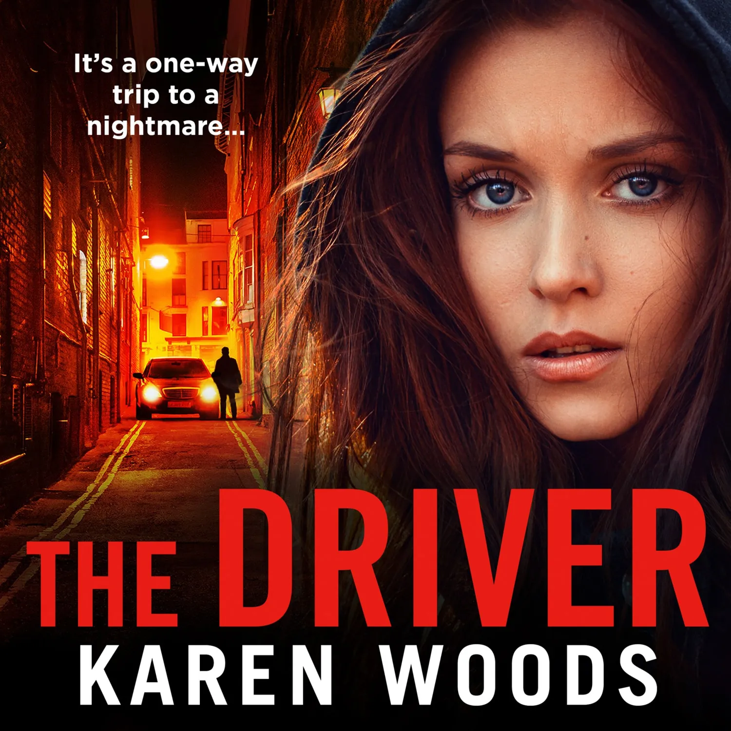 Wingbearer Saga The Driver Karen Woods pocket krim