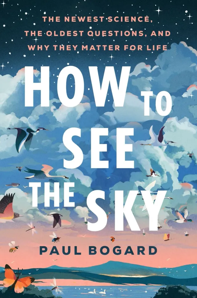 Wingbearer Saga How to See the Sky bok innbundet vitenskap