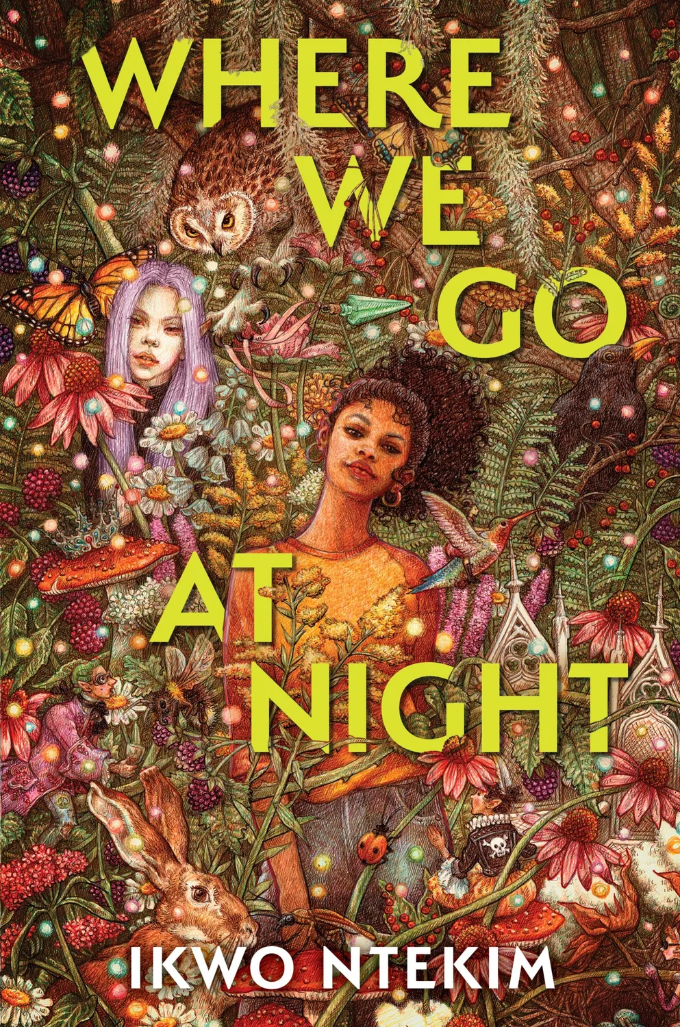 Wingbearer Saga Where We Go at Night ungdomsbok innbundet fae