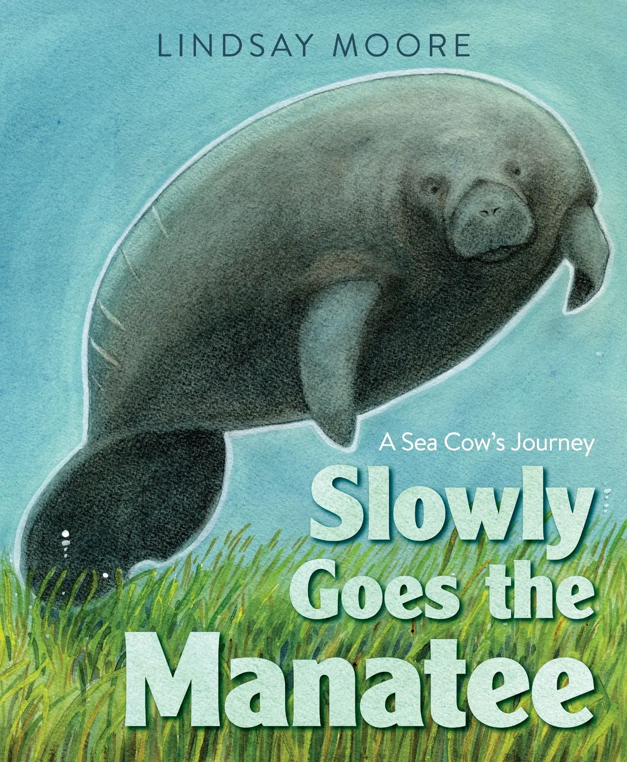 Wingbearer Saga Slowly Goes the Manatee bok hardcover