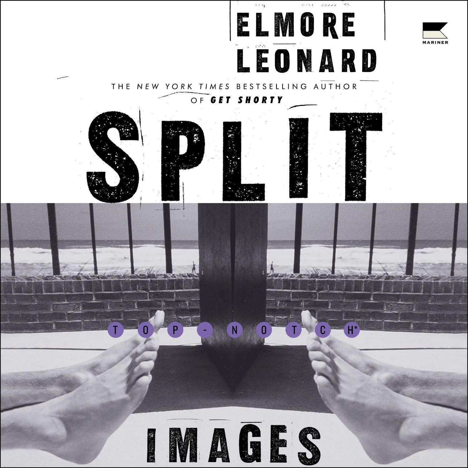 Wingbearer Saga Split Images lydbok digital + noir
