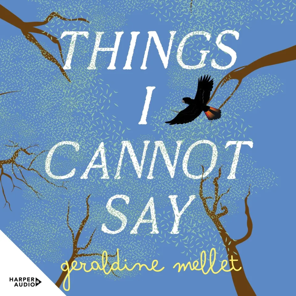 Wingbearer Saga Things I Cannot Say ebok roman debut