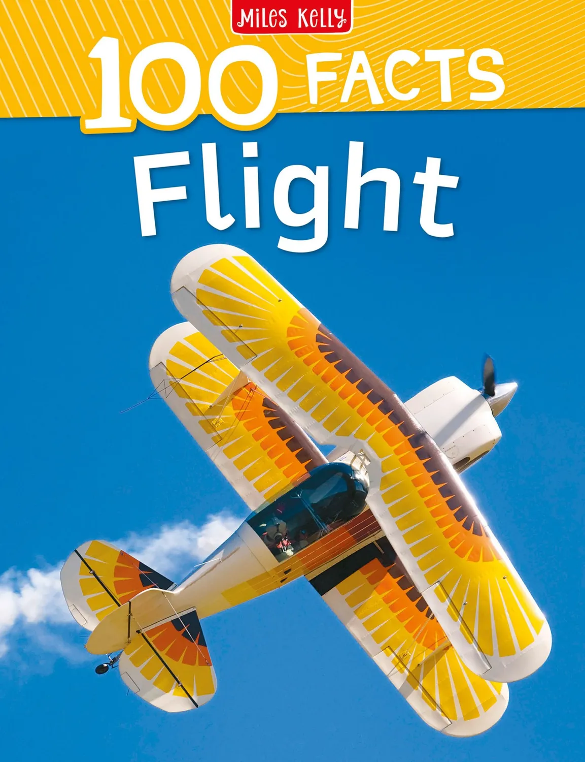 Wingbearer Saga Flight 100 Facts barnebok pocket