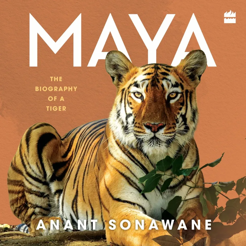 Wingbearer Saga Maya tigerbok lydbok