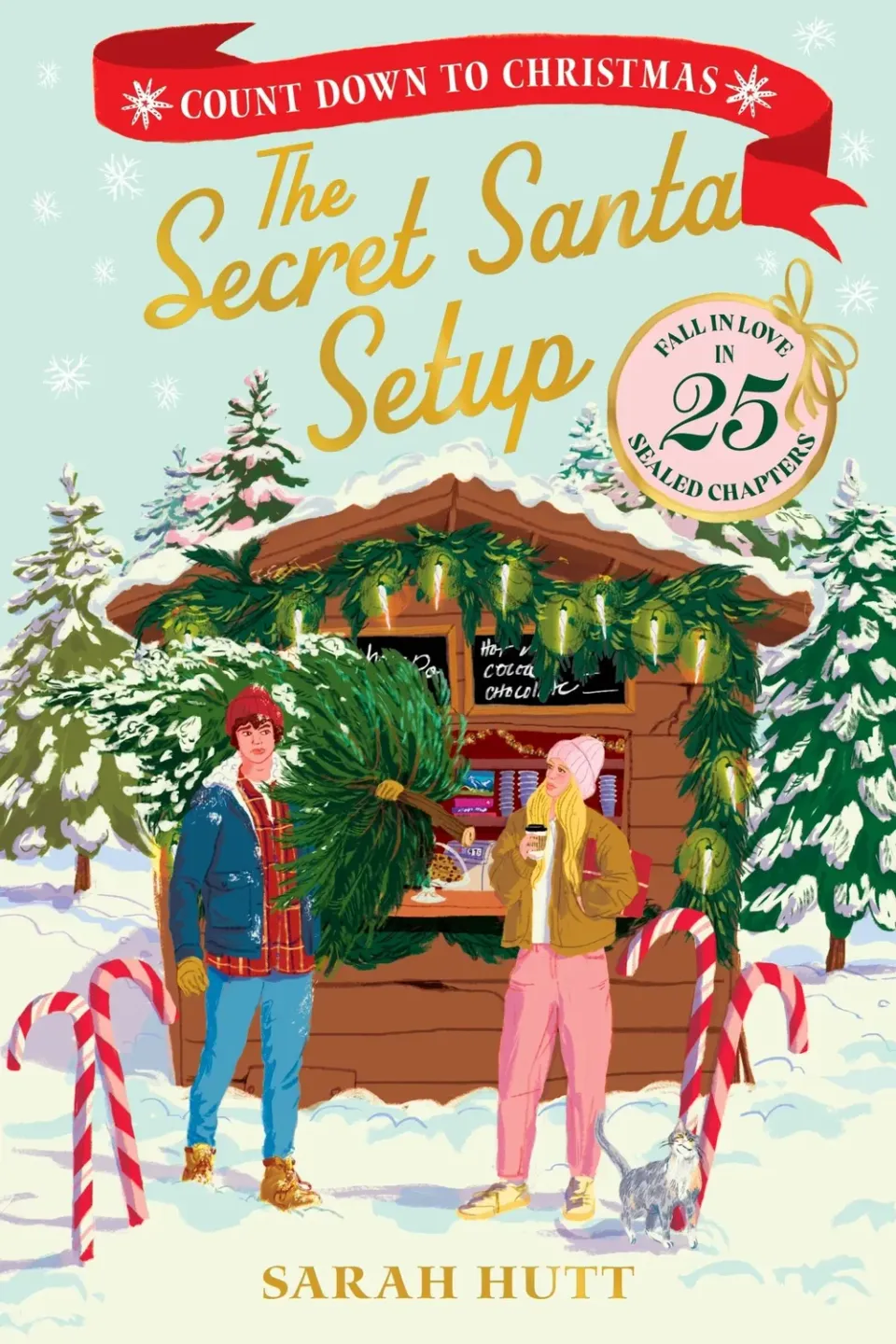 Sarah Hutt Secret Santa Setup pocketbok jul