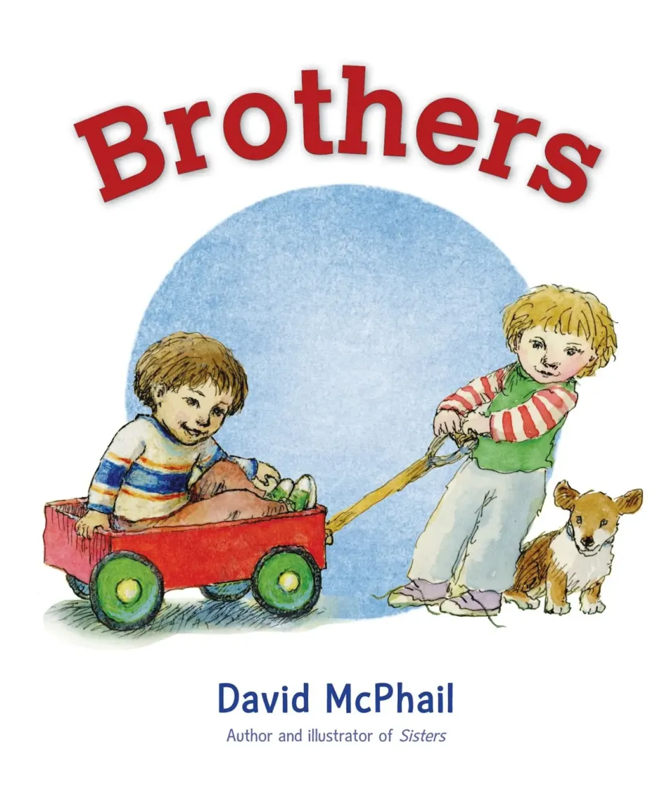 Wingbearer Saga Brothers barnebok e-bok søsken