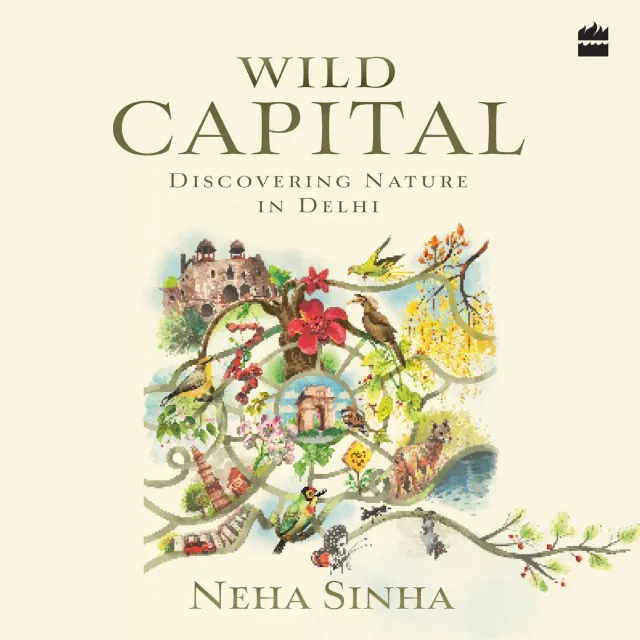 Wingbearer Saga Wild Capital lydbok bynatur Delhi