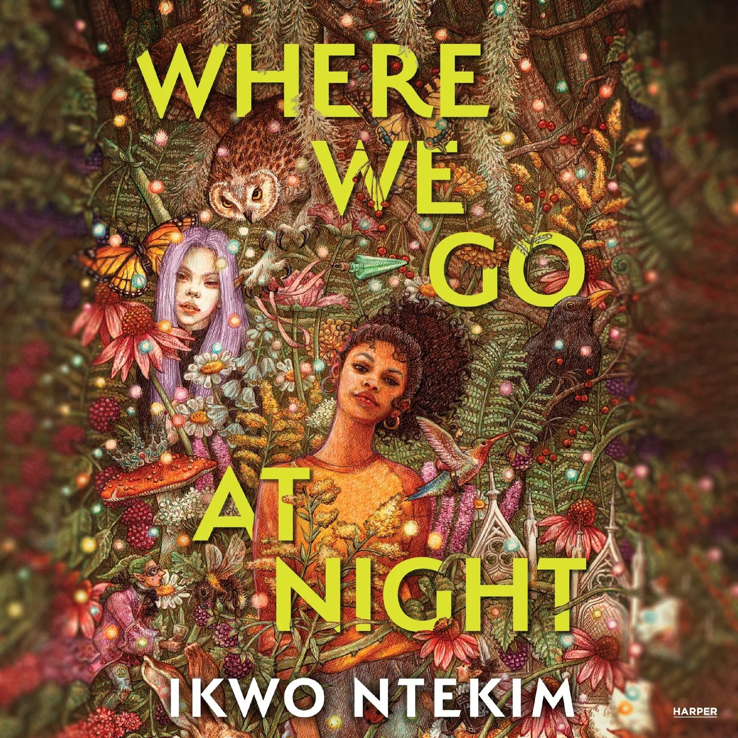 Wingbearer Saga Where We Go at Night ungdomsbok innbundet fae
