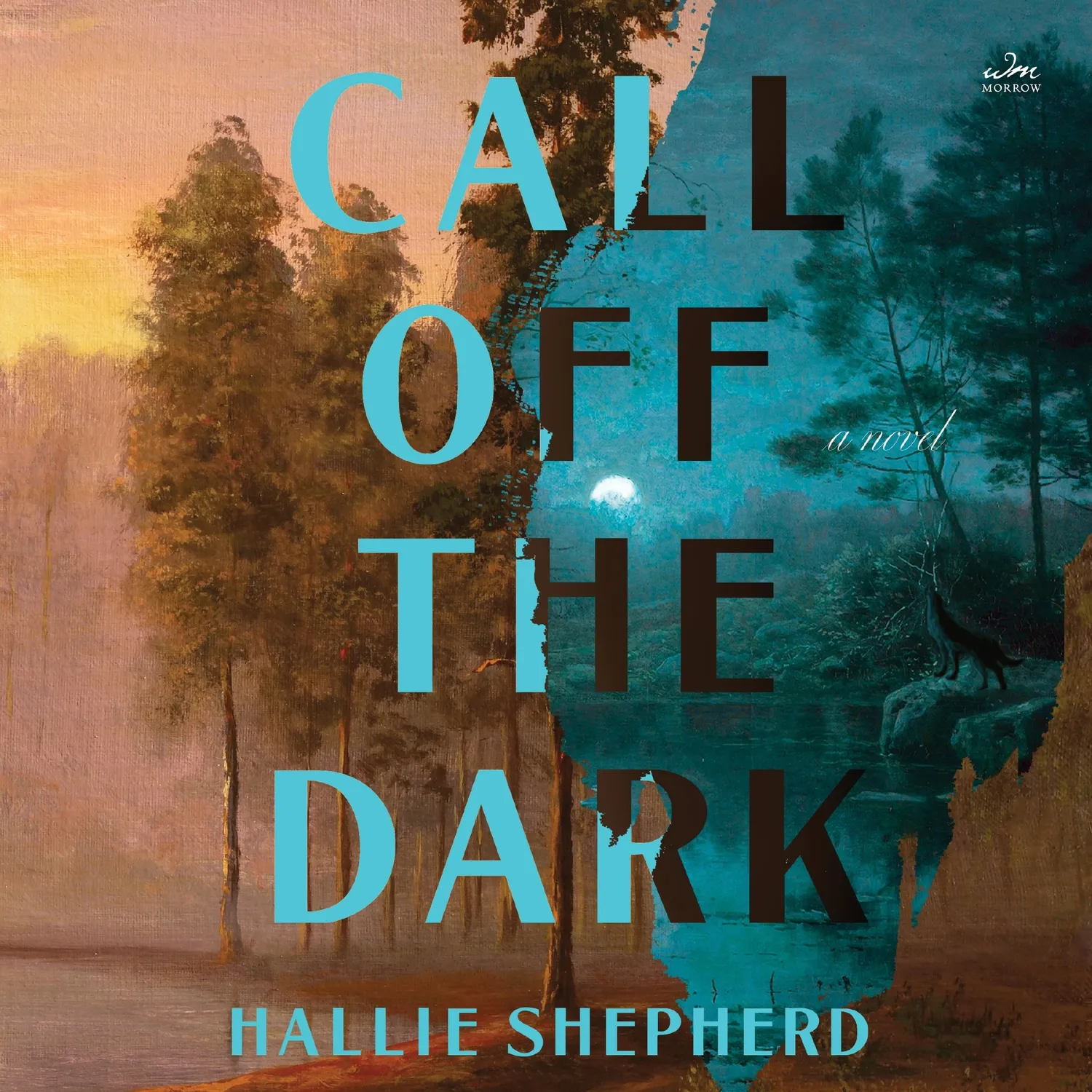 Wingbearer Saga Call Off the Dark bok innbundet thriller