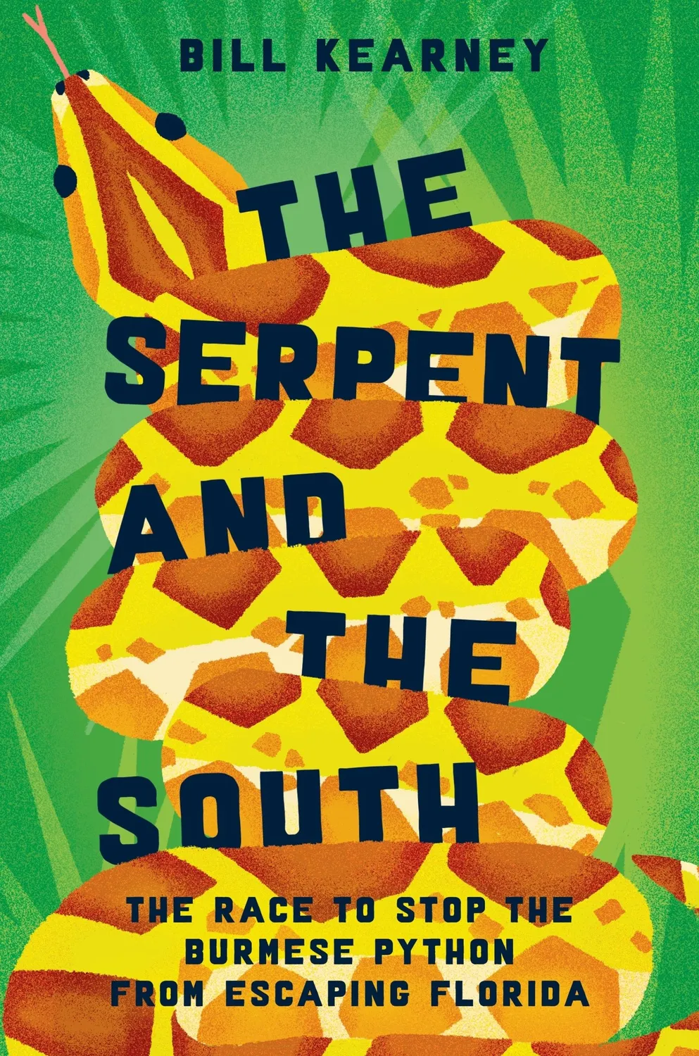 Wingbearer Saga The Serpent and the South innbundet bok