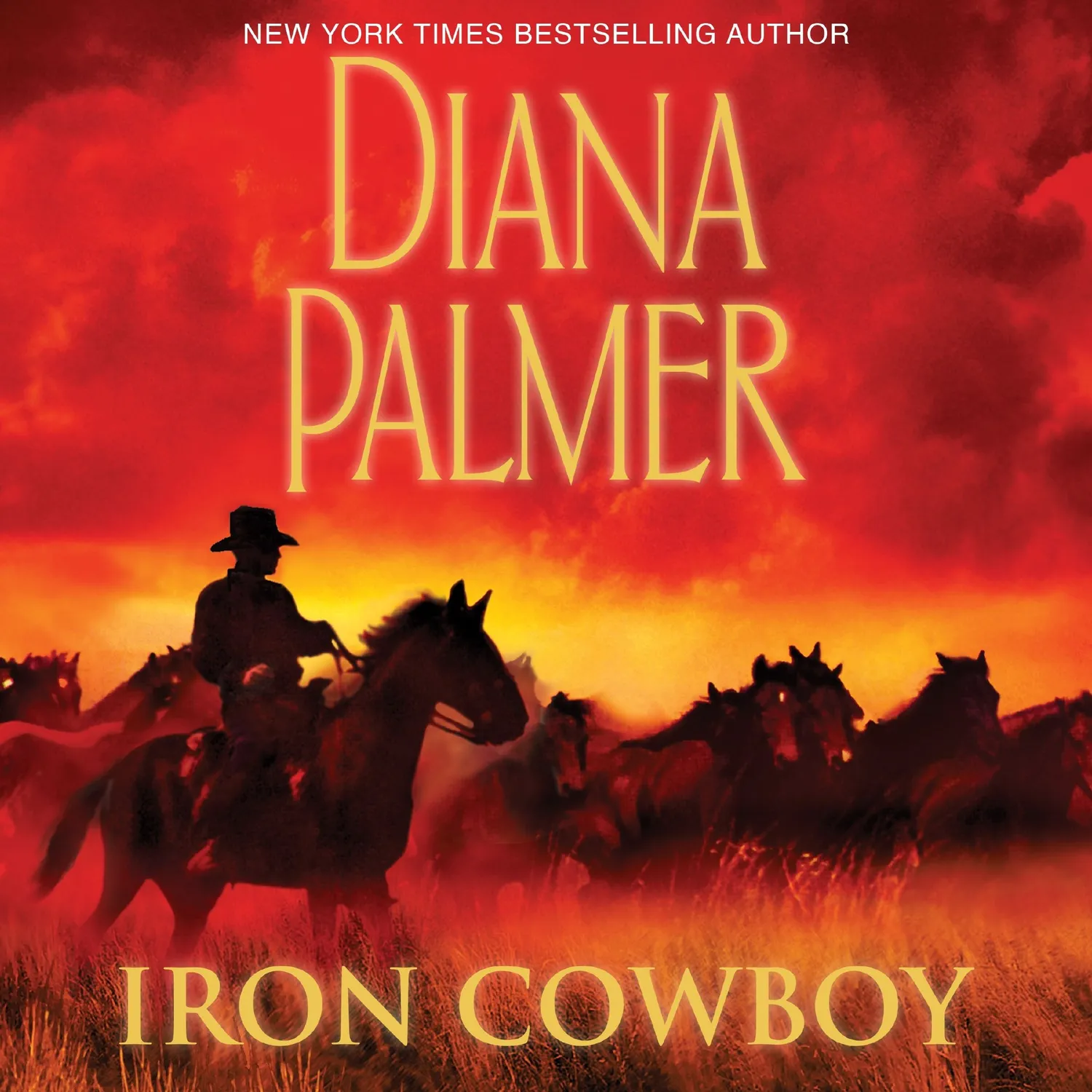 Wingbearer Saga Iron Cowboy lydbok western-romanse