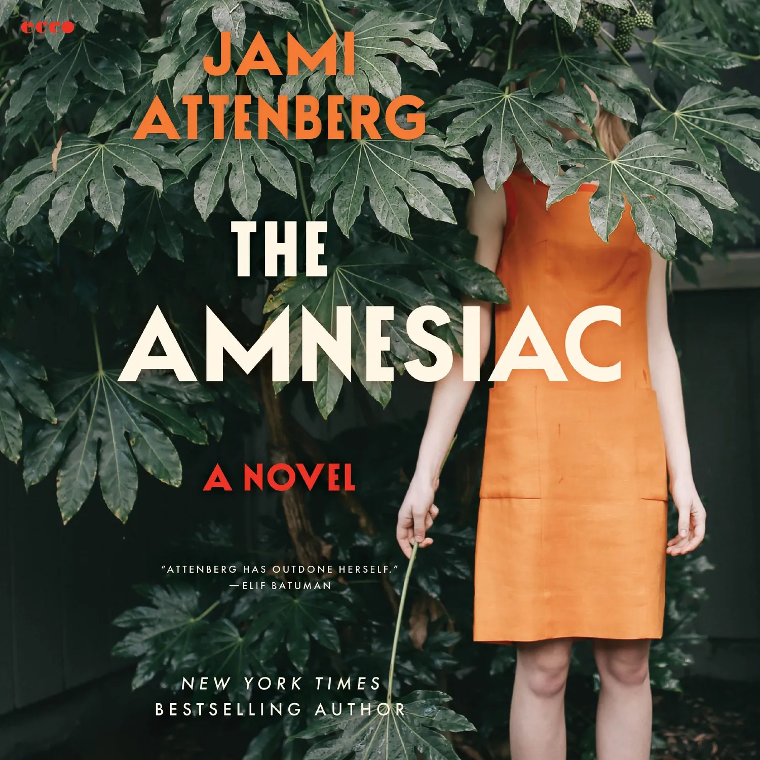 Wingbearer Saga The Amnesiac bok innbundet ekteskap