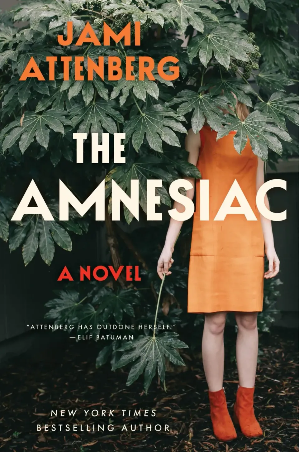 Wingbearer Saga The Amnesiac bok innbundet ekteskap