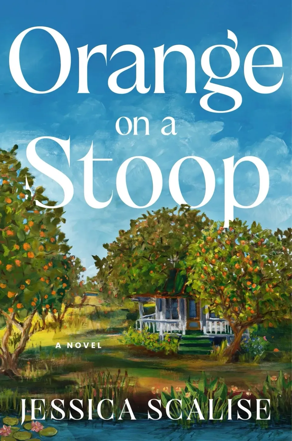 Wingbearer Saga Orange on a Stoop innbundet bok debutroman
