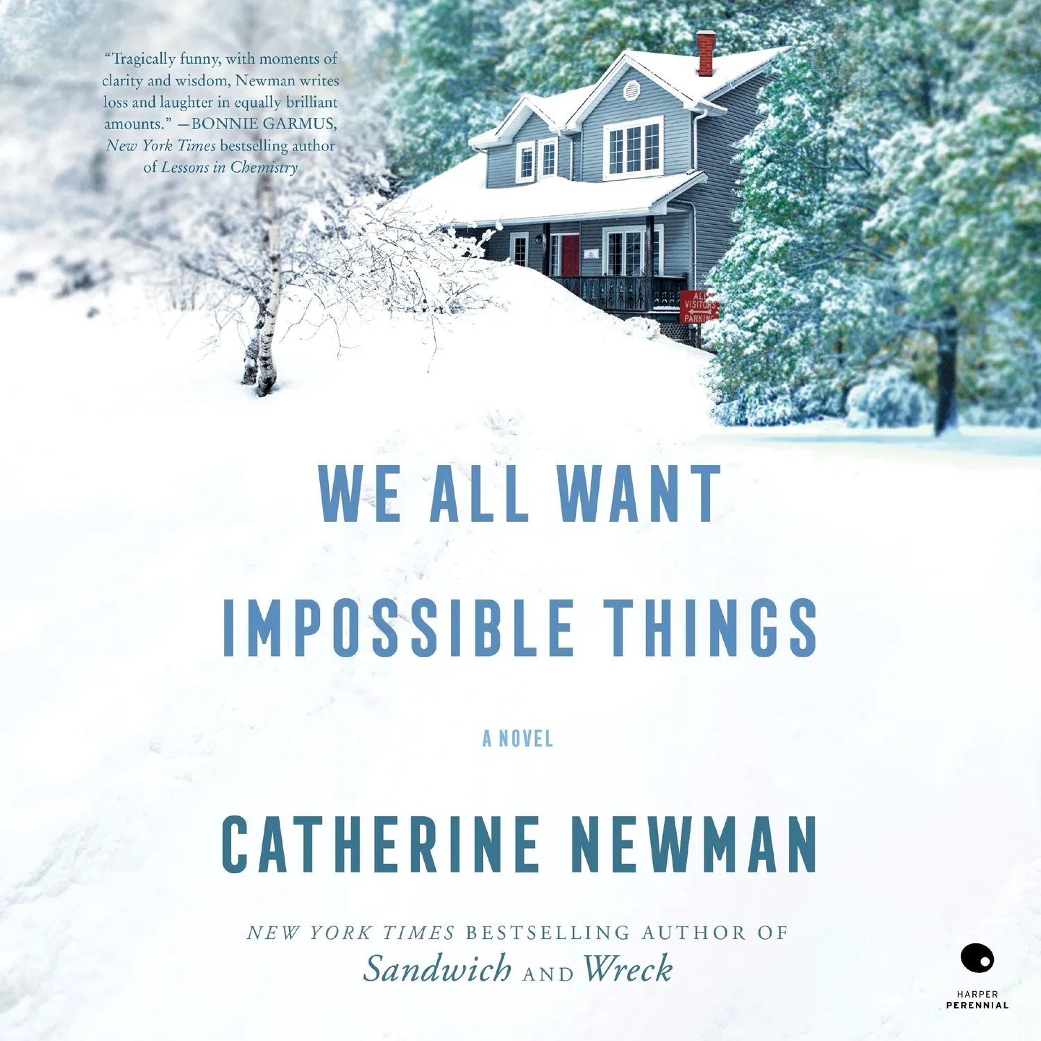 Wingbearer Saga We All Want Impossible Things pocketbok vennskap