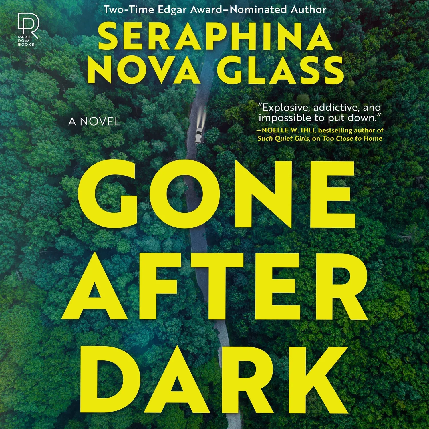 Wingbearer Saga Gone After Dark innbundet thriller