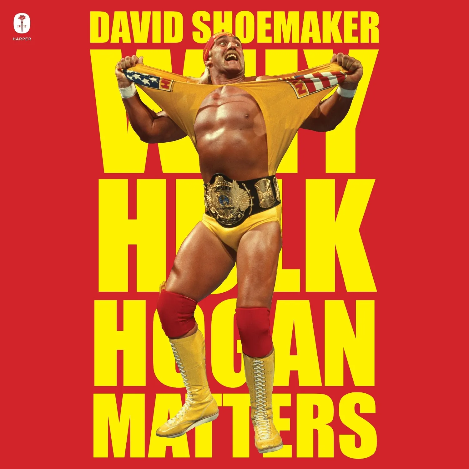 Wingbearer Saga Why Hulk Hogan Matters bok hardcover