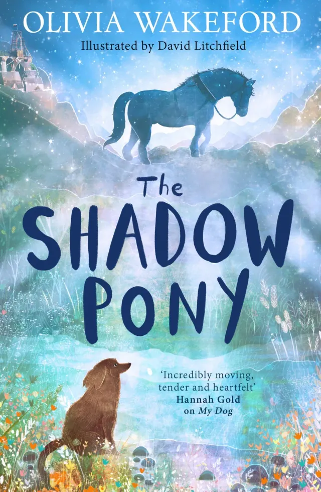 Olivia Wakeford The Shadow Pony e-bok gruveponni