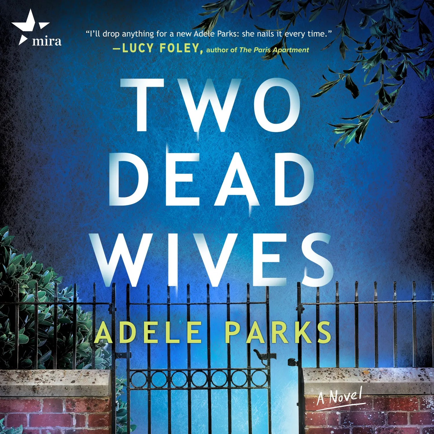 Wingbearer Saga Two Dead Wives bok paperback thriller