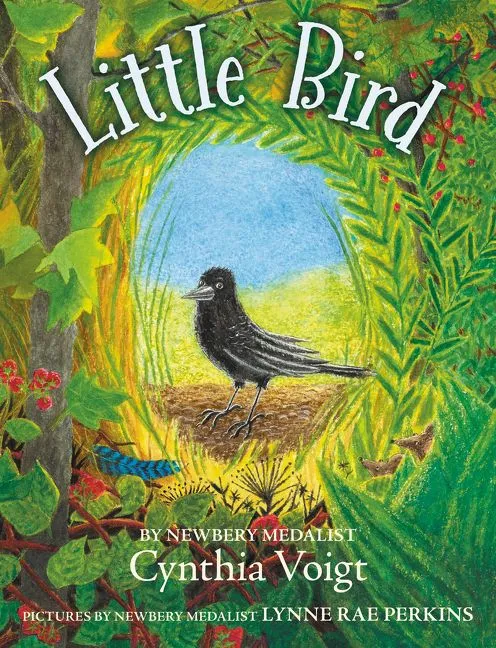 Wingbearer Saga Little Bird pocketbok barnebok 8-12 år