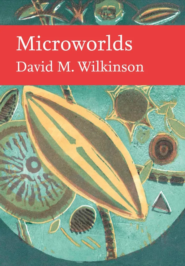 Wingbearer Saga Microworlds e-bok mikroliv